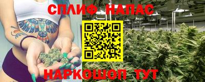 меф Краснознаменск