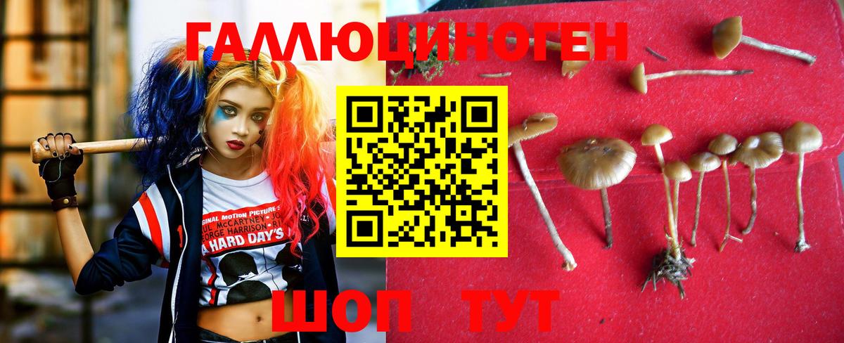 Тулун  Псилоцибиновые грибы ЛСД  Вход с VPN 
